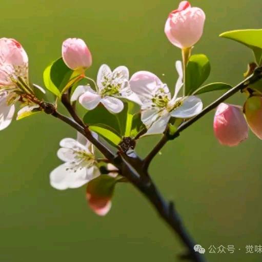 耳東陳