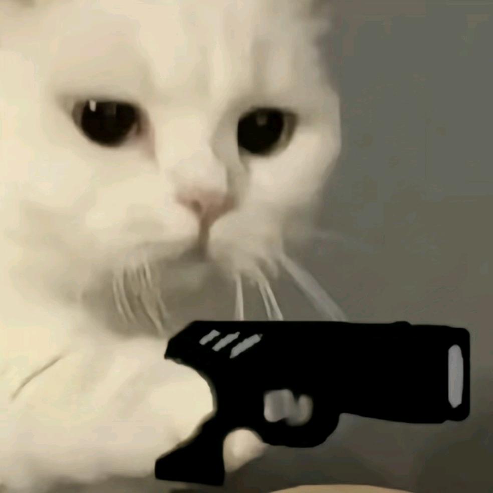 樱桃🍒小丸犊子