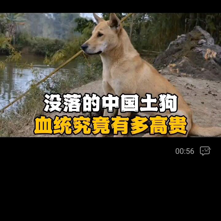 小毛系统门窗