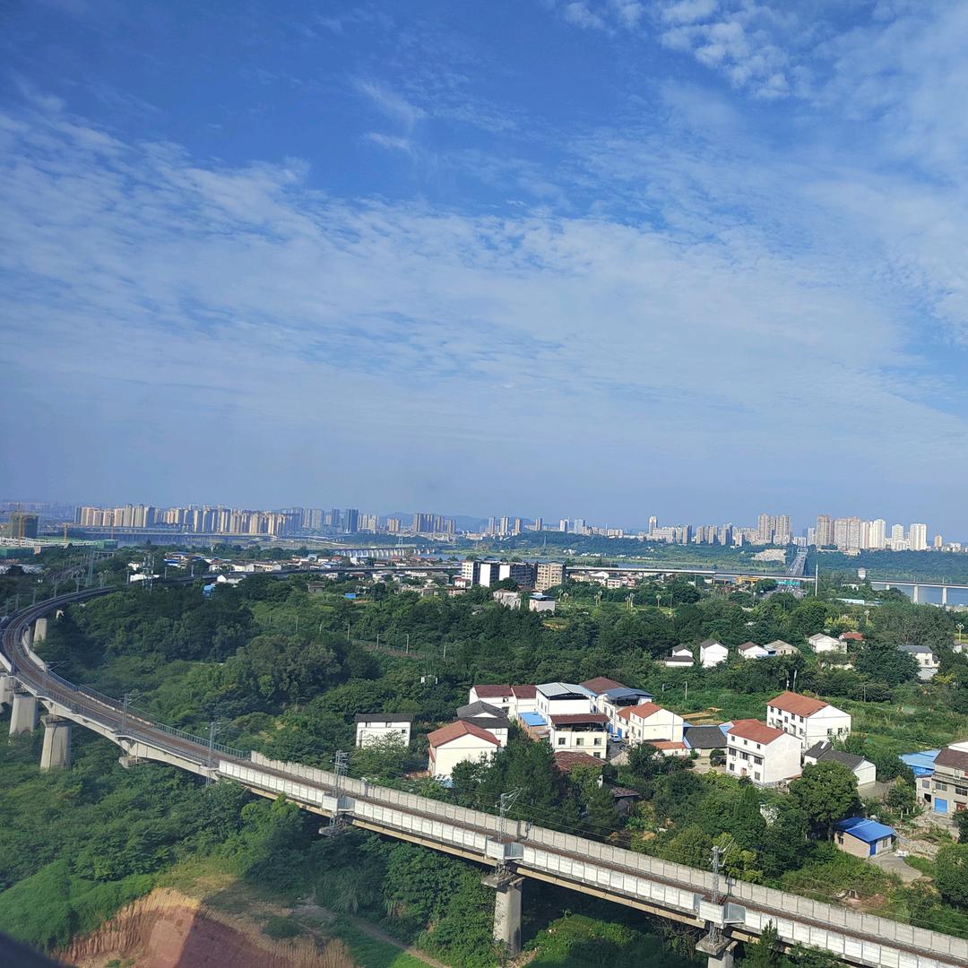 西兰花“情绪招待所”