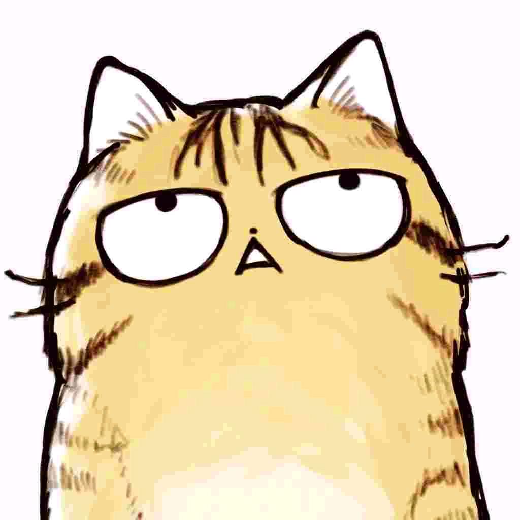 斯里兰卡流浪猫