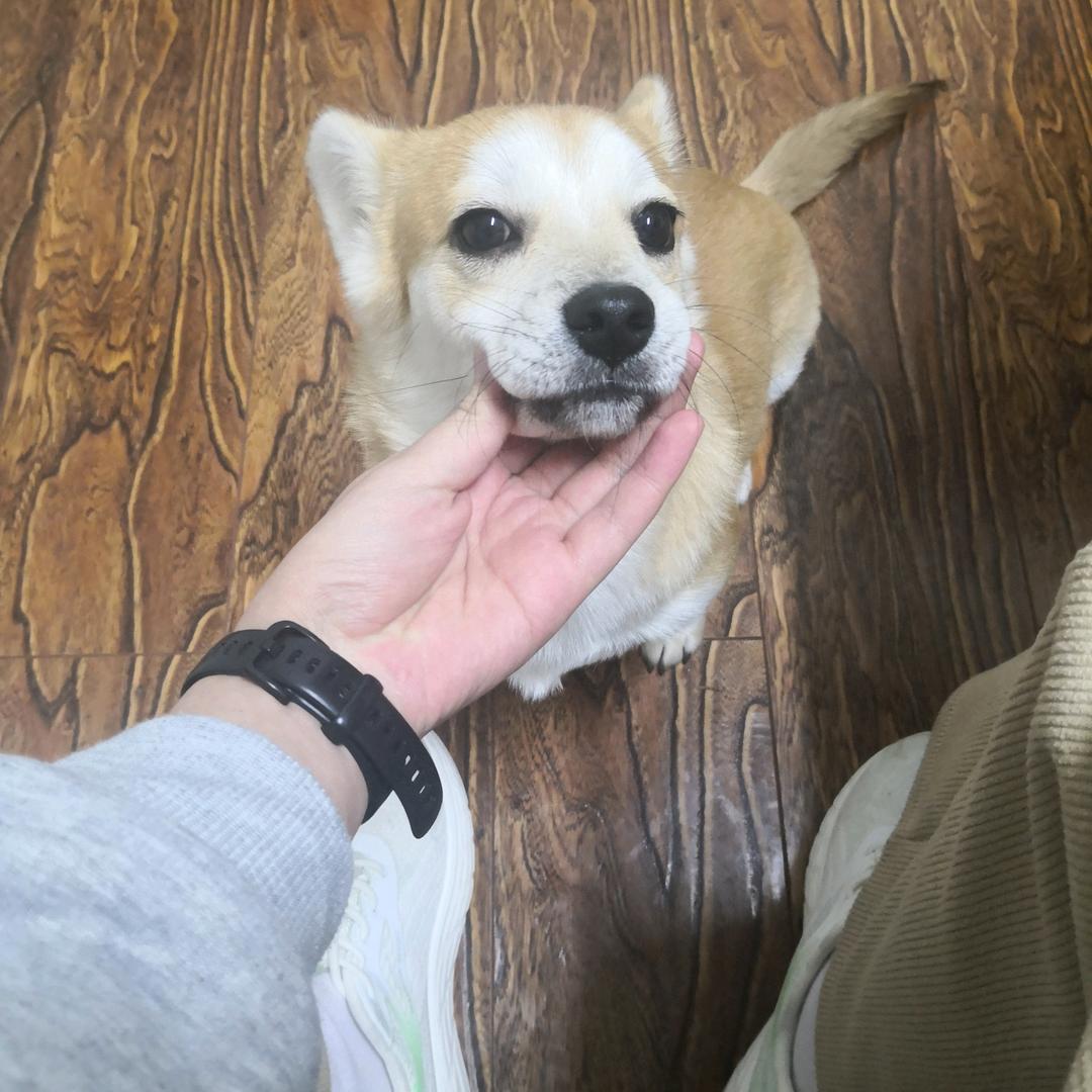 花落₍˄·͈༝·͈˄*₎◞ ̑̑
