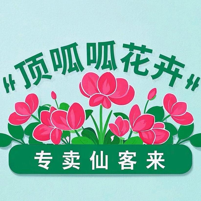 顶呱呱花卉