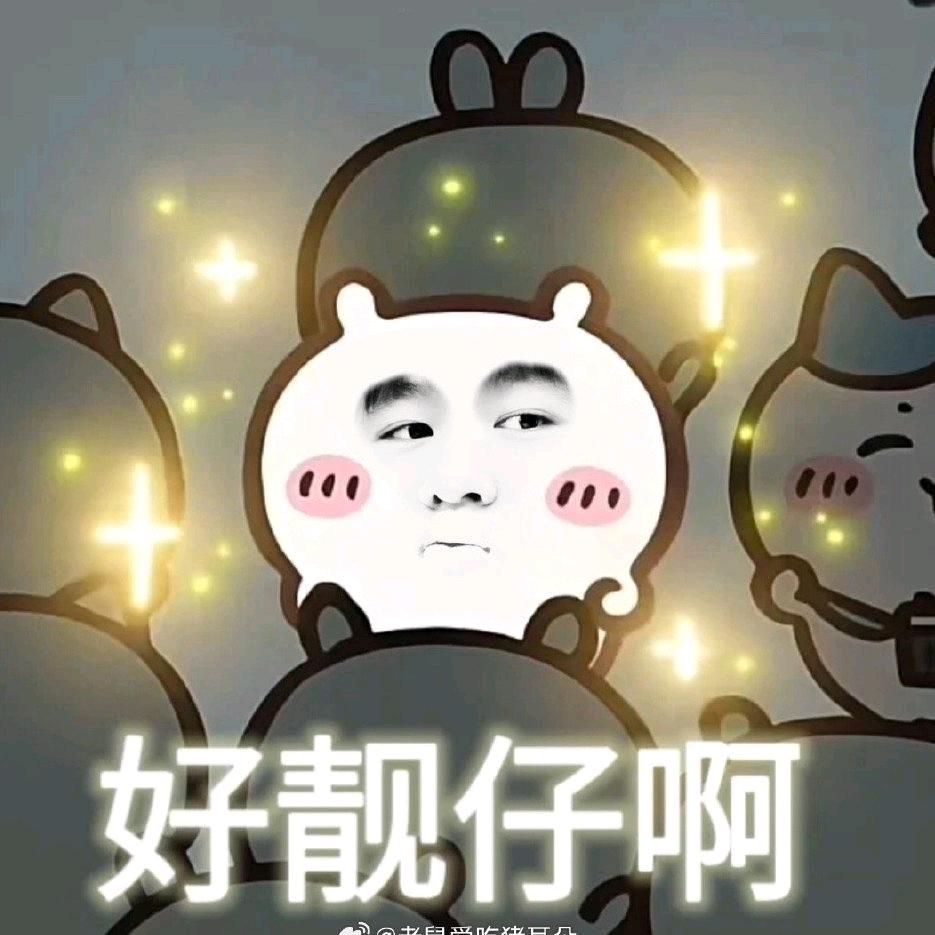 毛茸茸的命苦竞丝