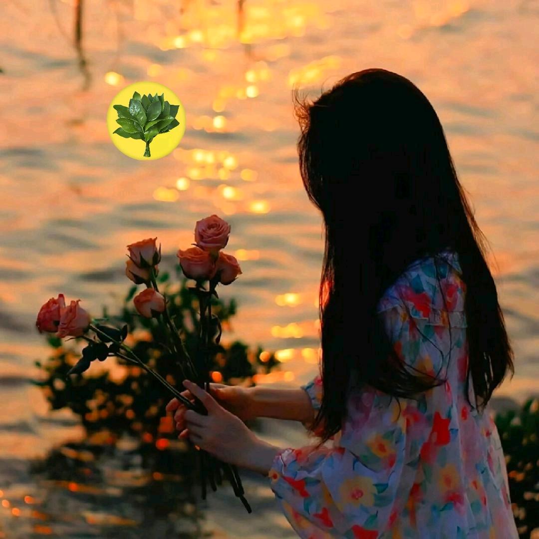 米可的朋友圈