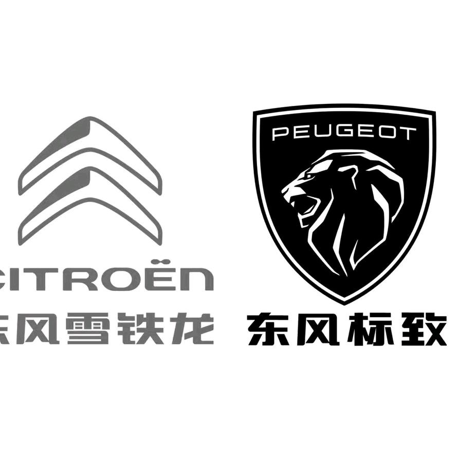 福建法系特卖中心小狮子9号