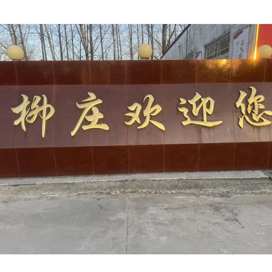 界首红薯村支书程永彬