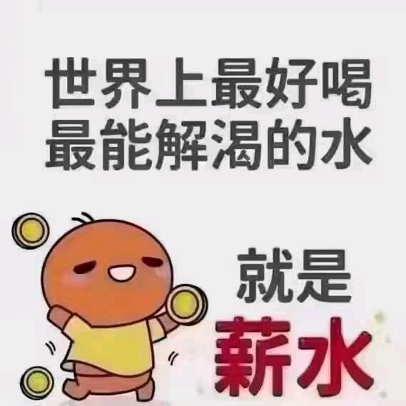 独在异乡为异客