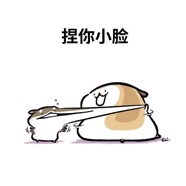 不吃饭就会鼠