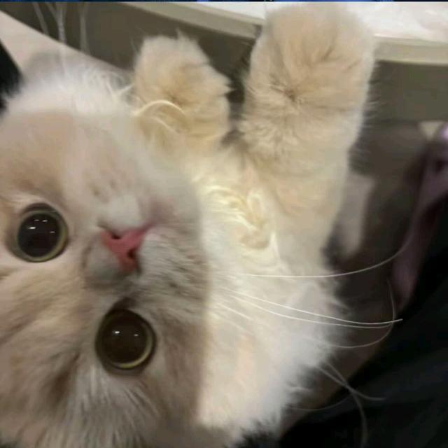 咸鱼之王小然