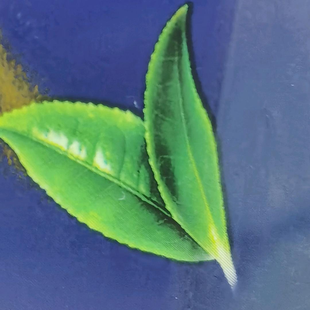 心不会老