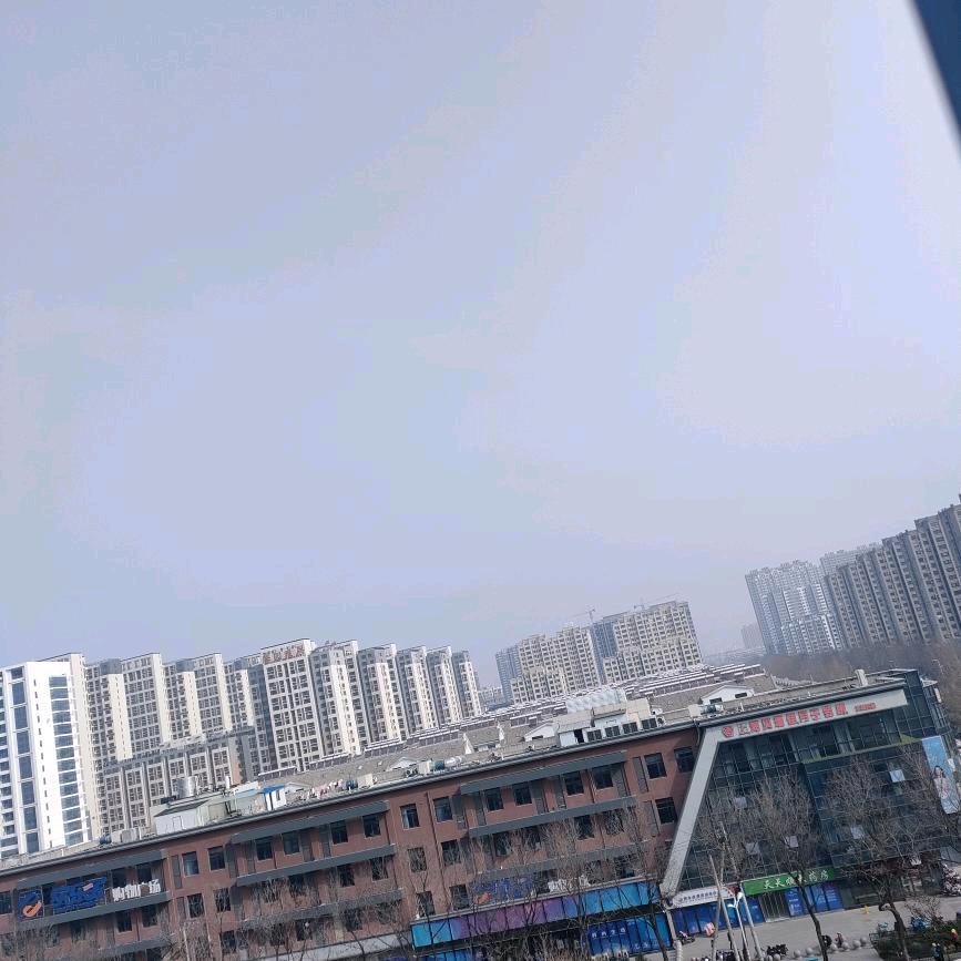 安度(●—●)