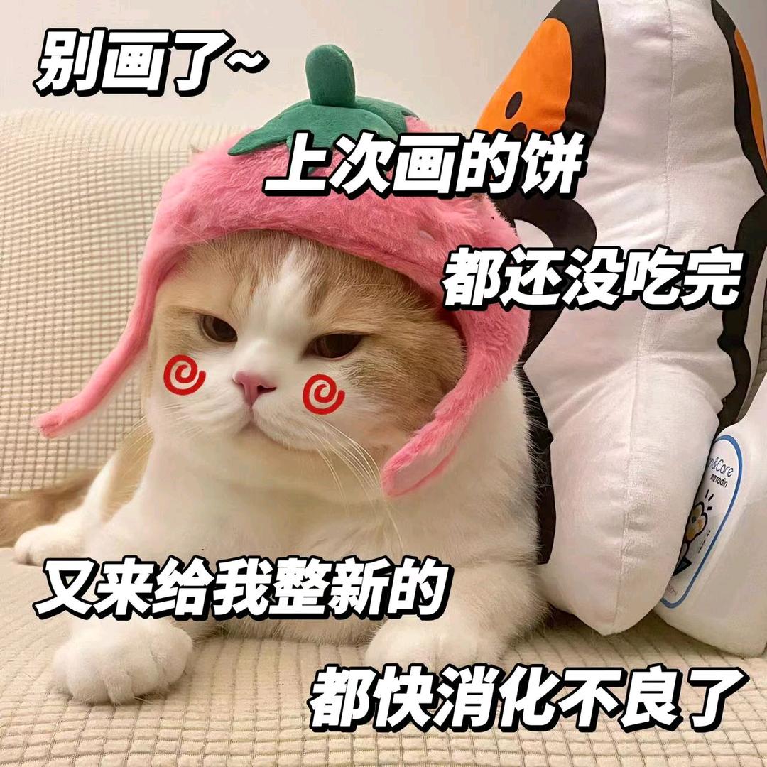 ♥不念过往🎋