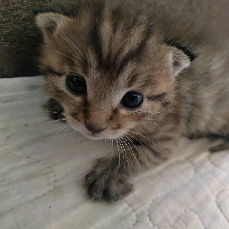 宁南安驰汽修厂