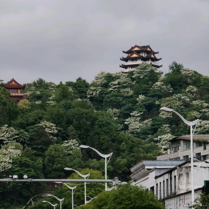 懒人日记