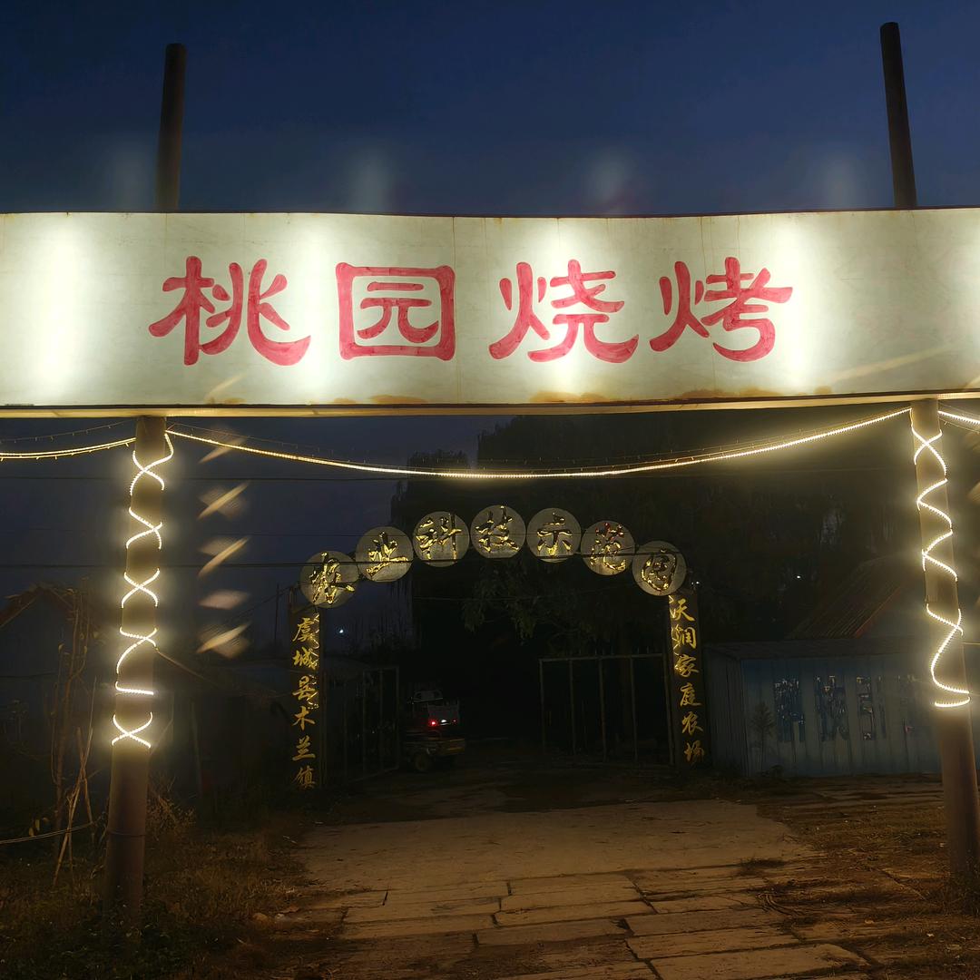桃园烧烤/地锅炖