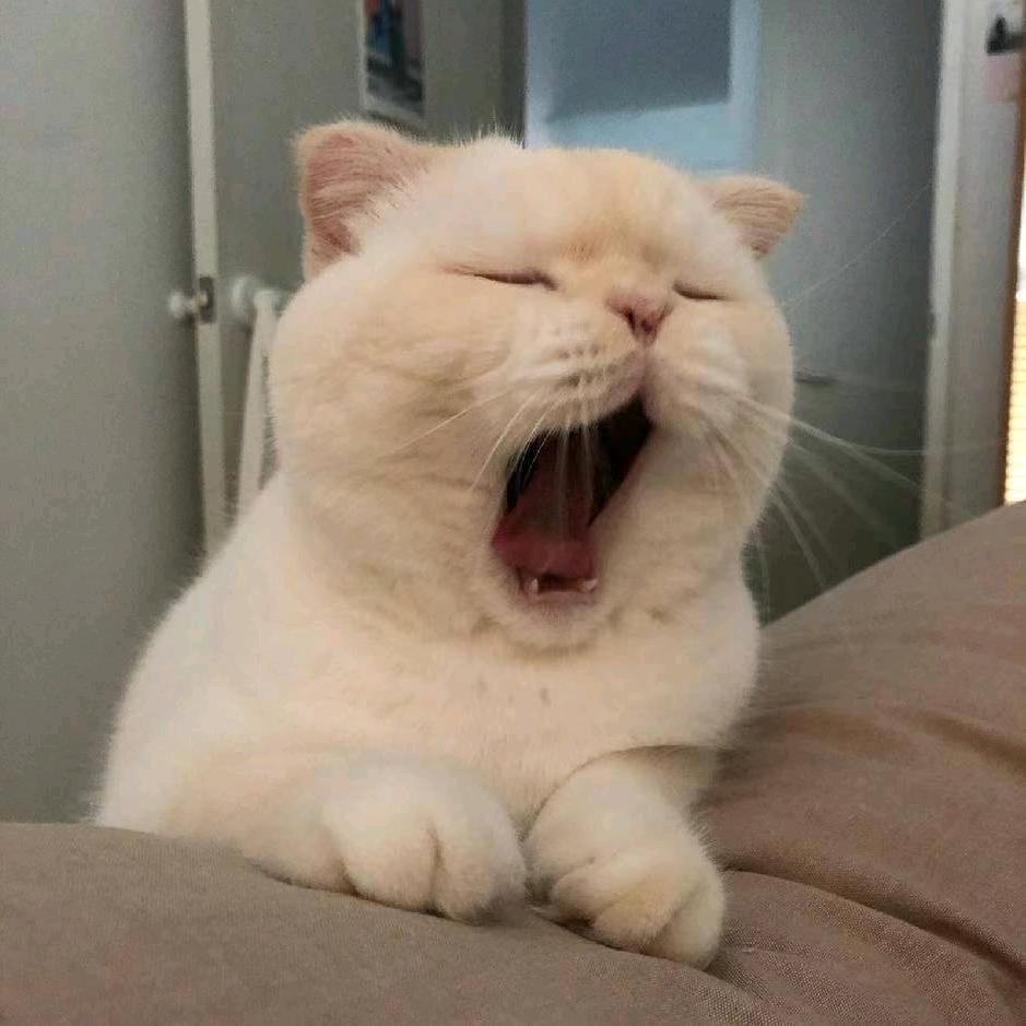 凡人一个
