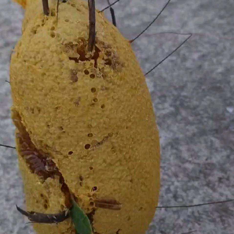 一诺千金