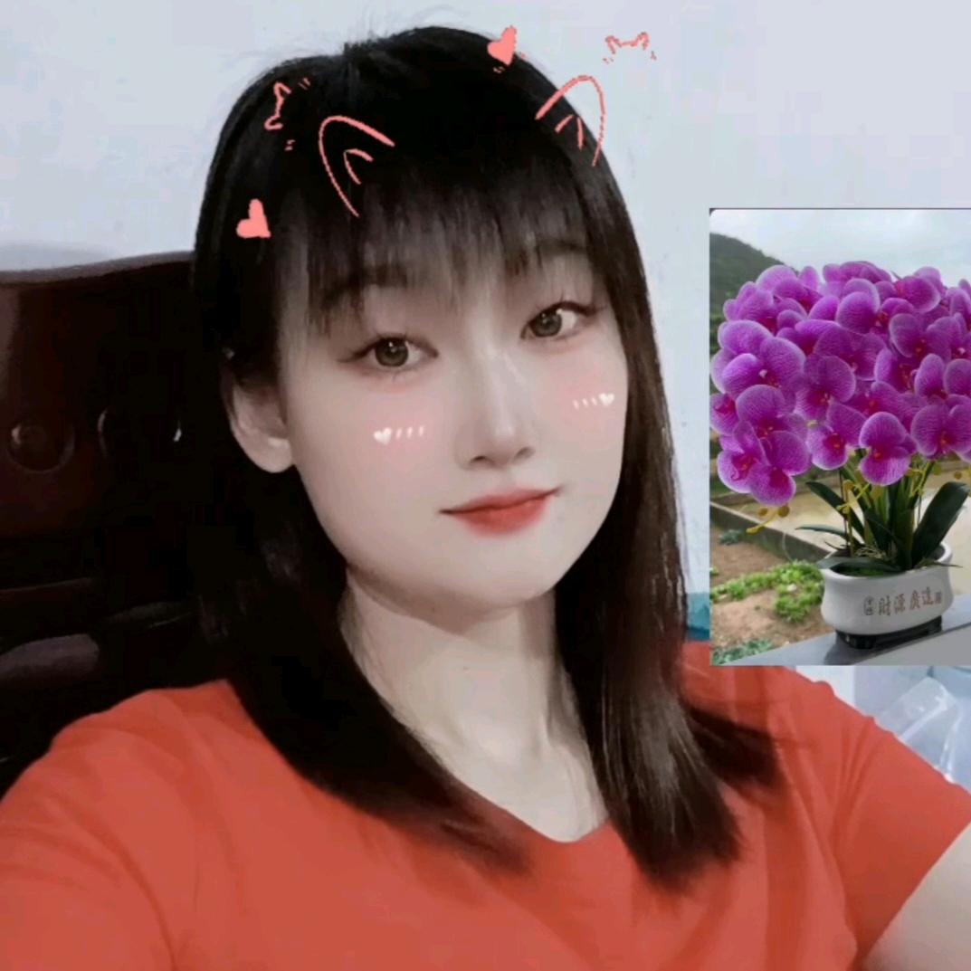 简单平淡