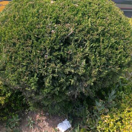 是你温暖了我的心。