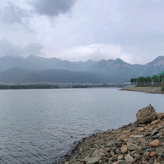 奔向阳光