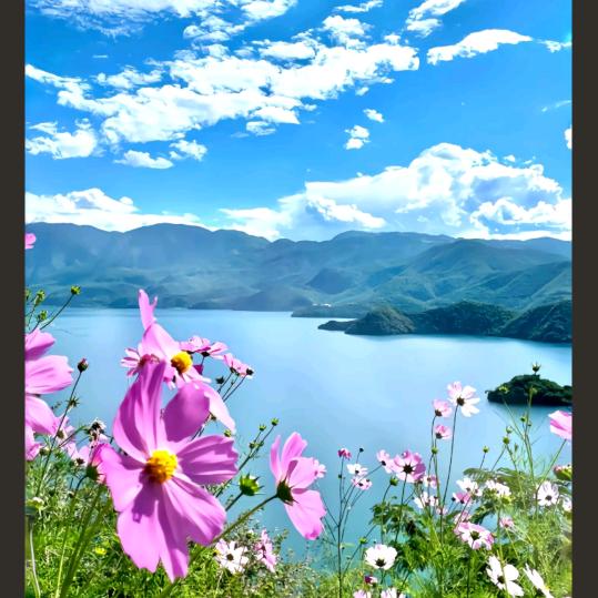 💞ღ᭄夕颜💕꧔ꦿ