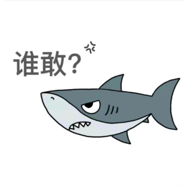 CSOL林七