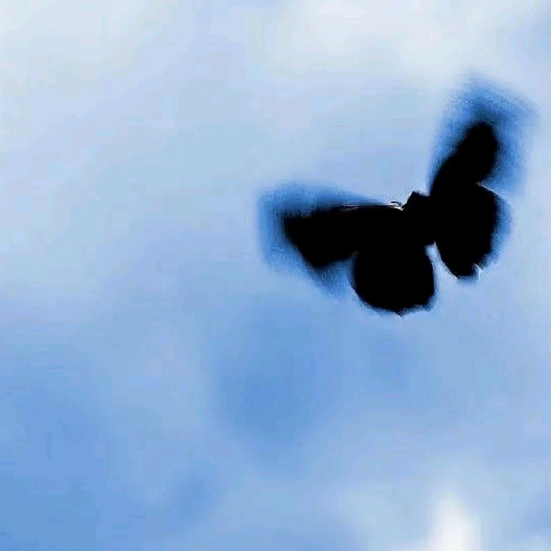 清明十二年