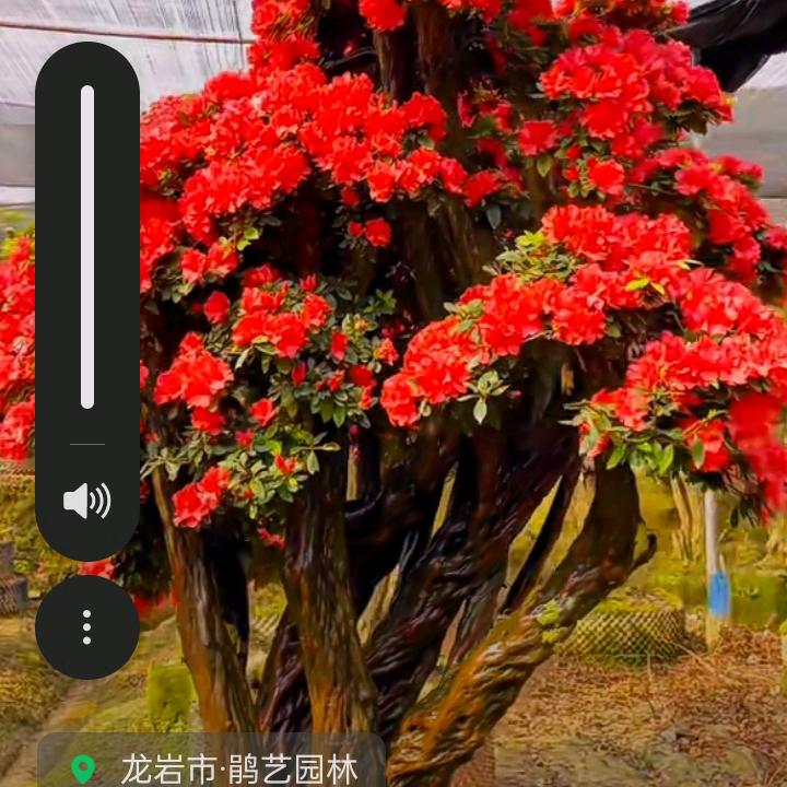 幸福一家人
