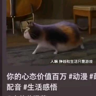 和命运和解