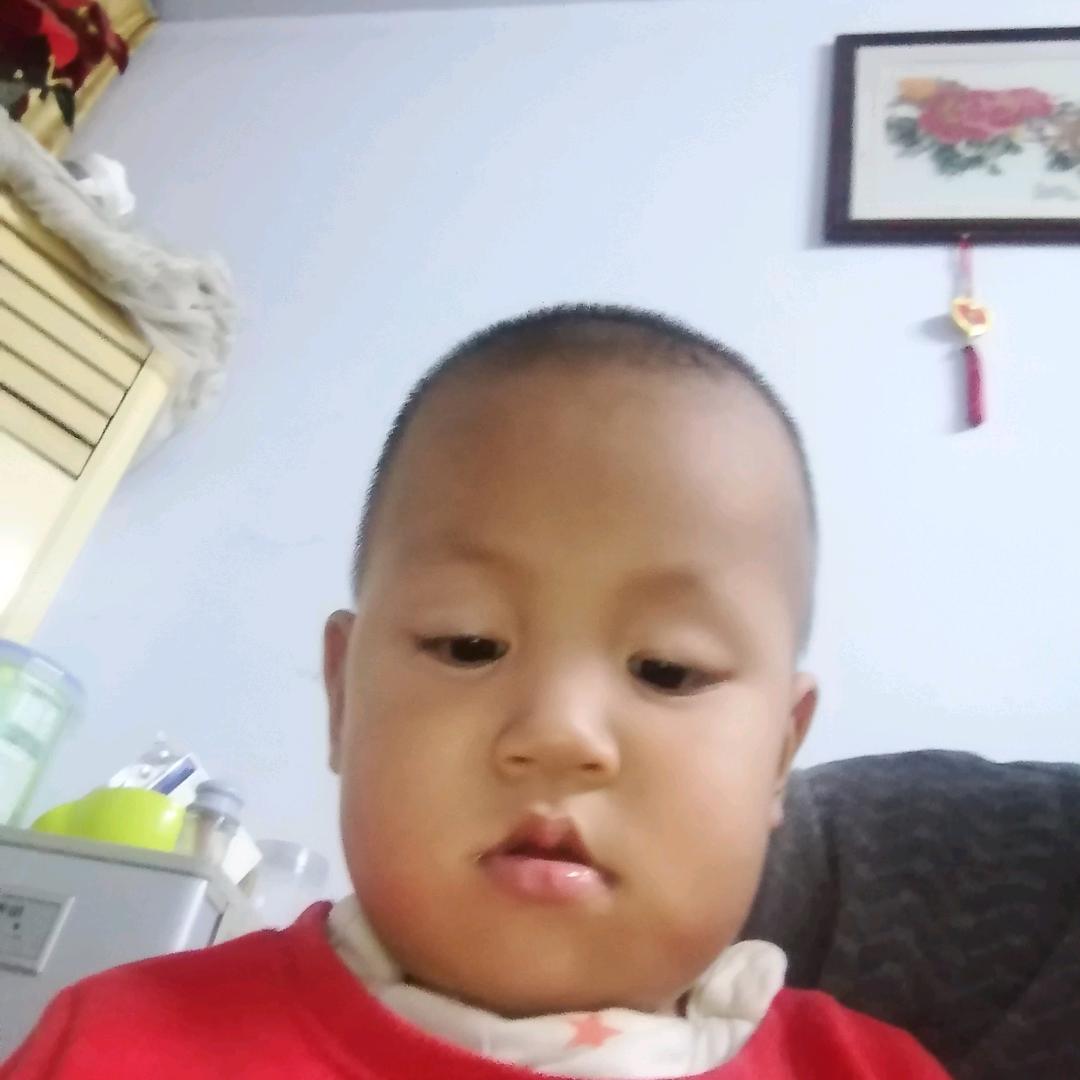 ，赵