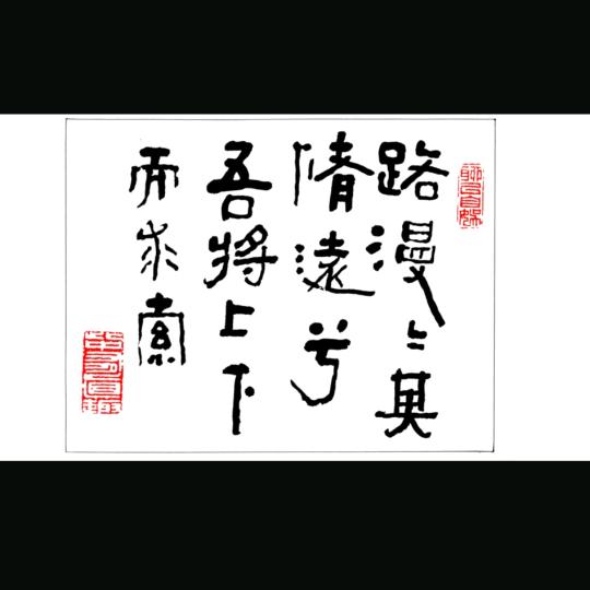 本少己死
