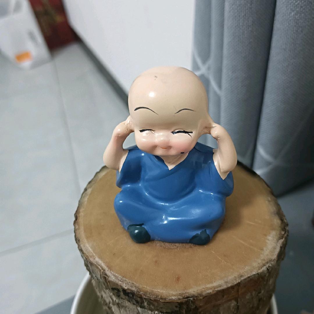 现实教会了我做人