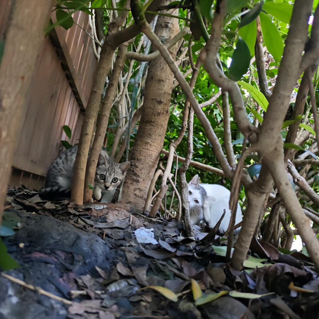 多财🪙多钱💰