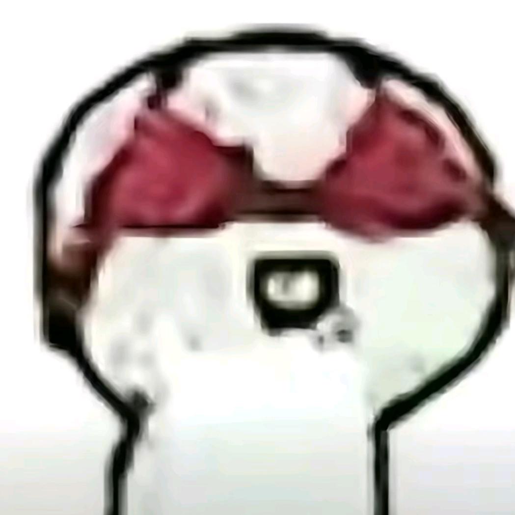 王木木