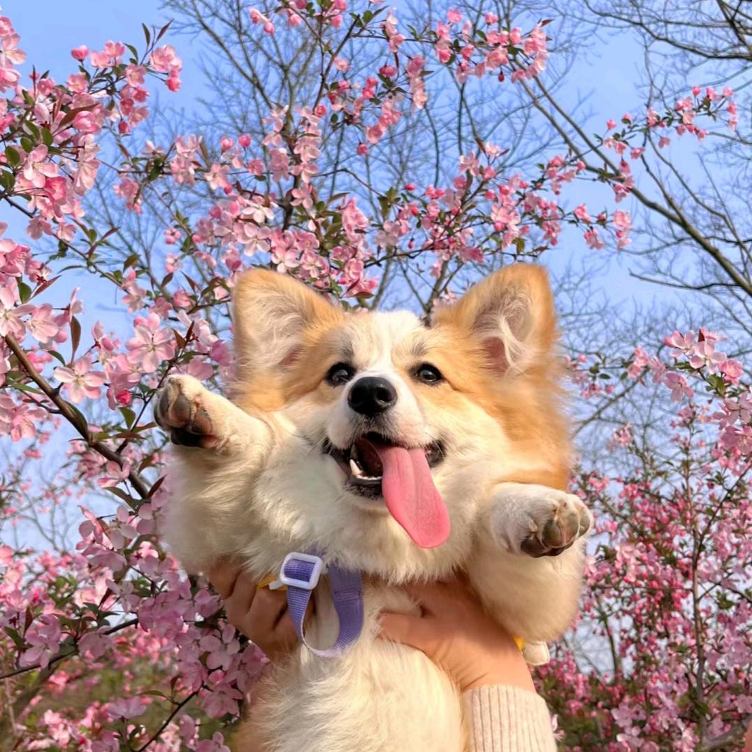✨️✨️
