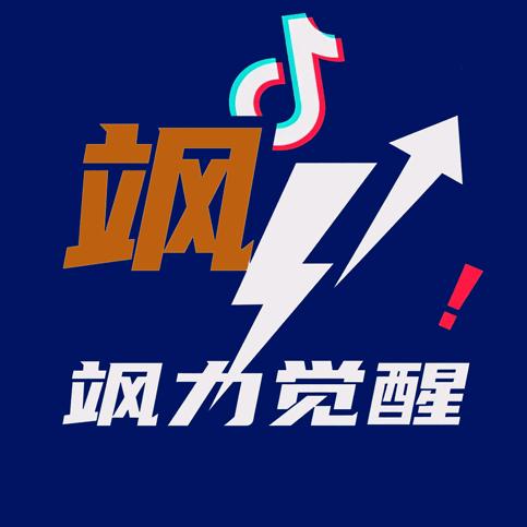 飒力觉醒