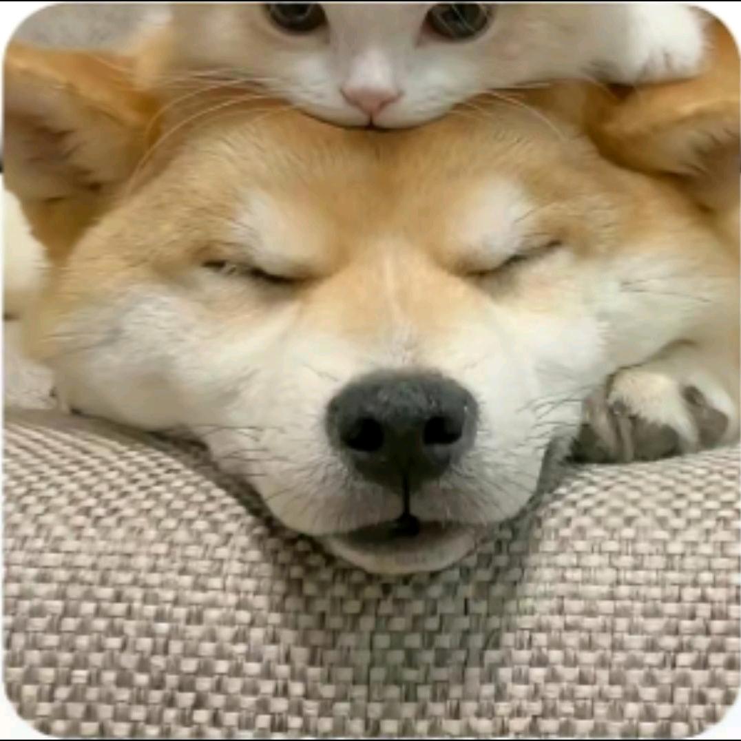 包拯是我弟弟