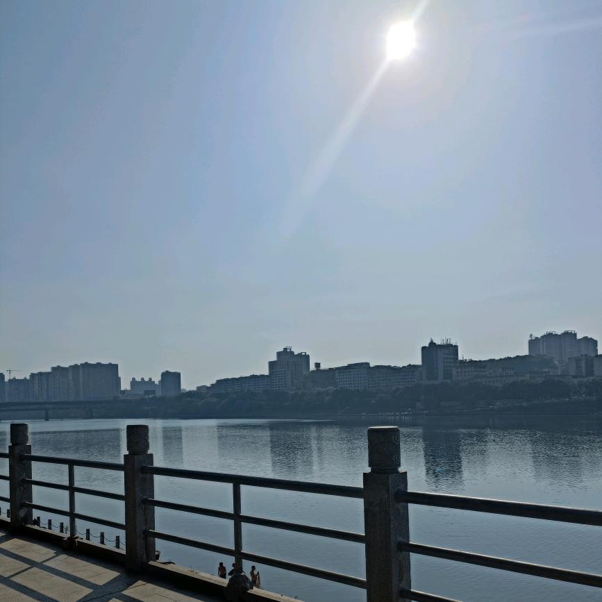 杜鹃