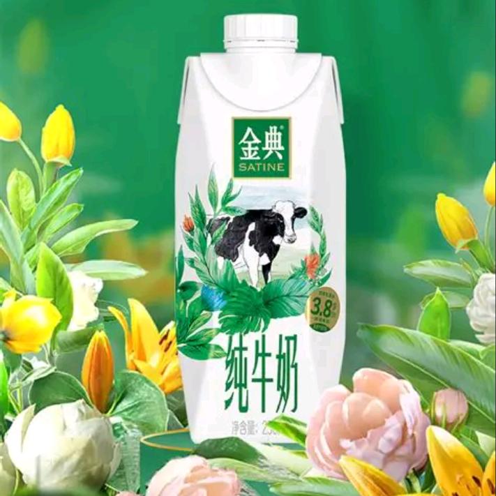 牛奶批发