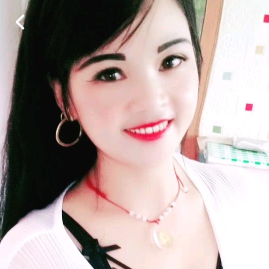 雁南飞