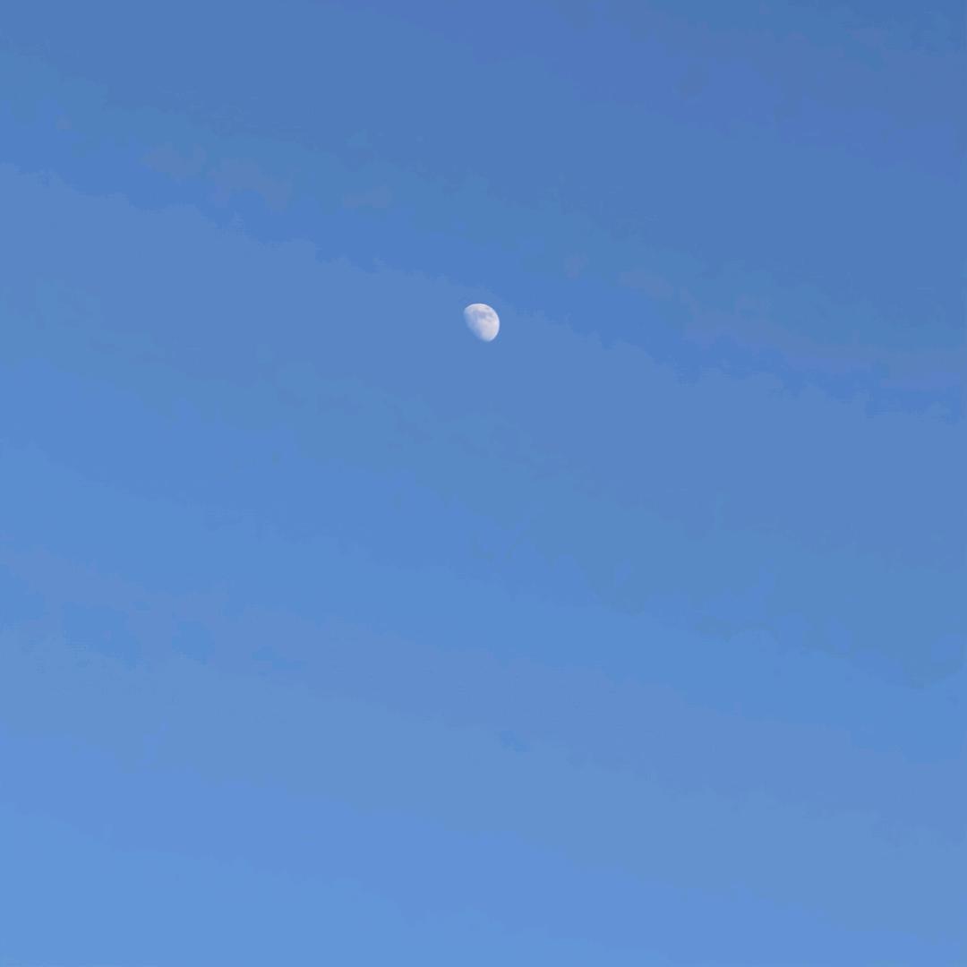 我想好好睡觉