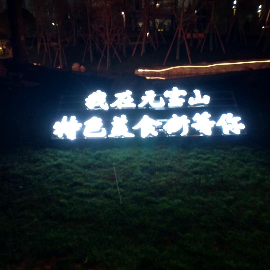 愿得一人心