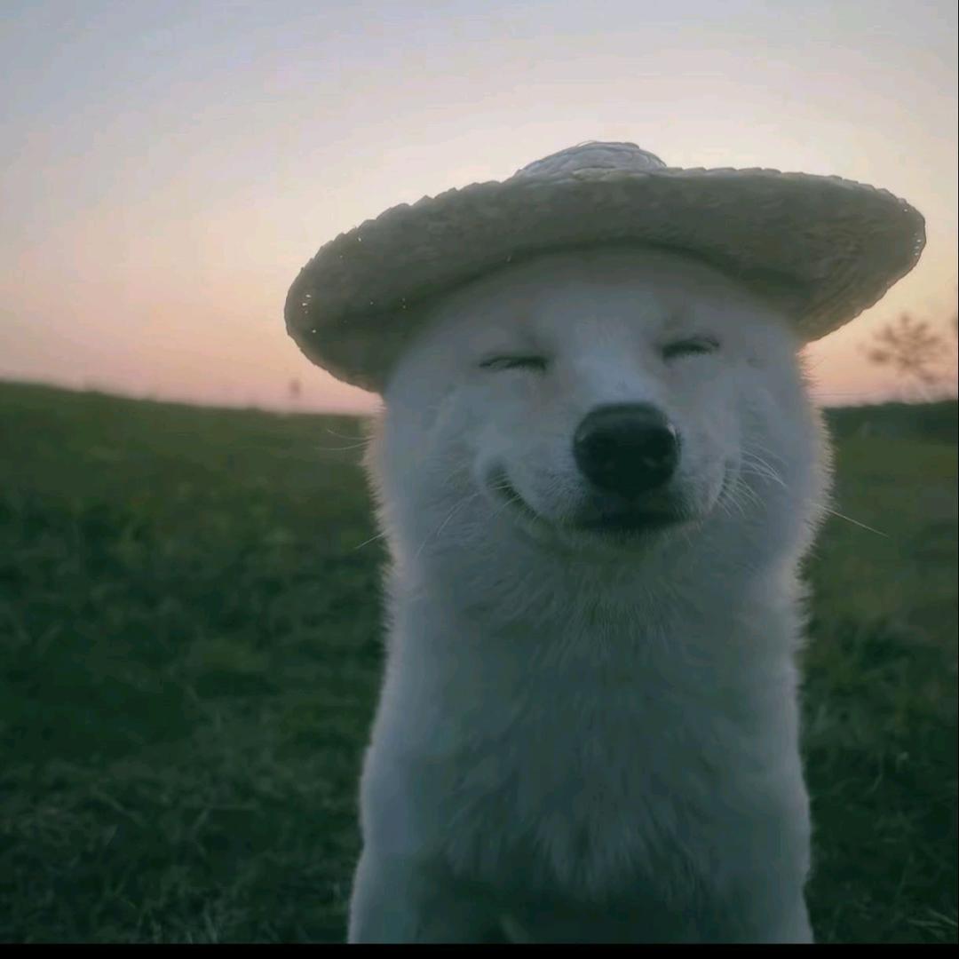 十三月的星期八