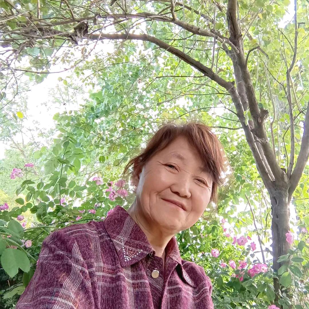 沉默人早上7点10分开播