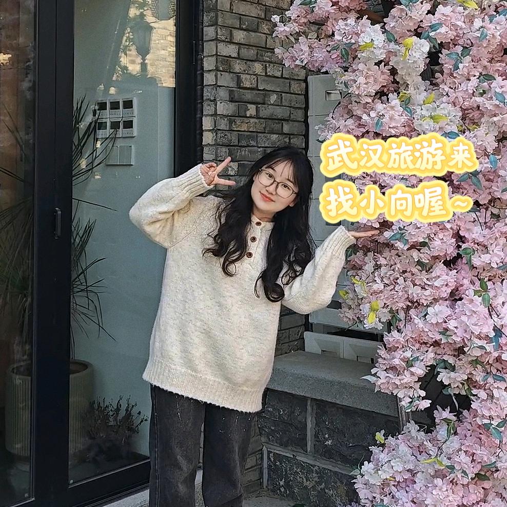 小向在武汉