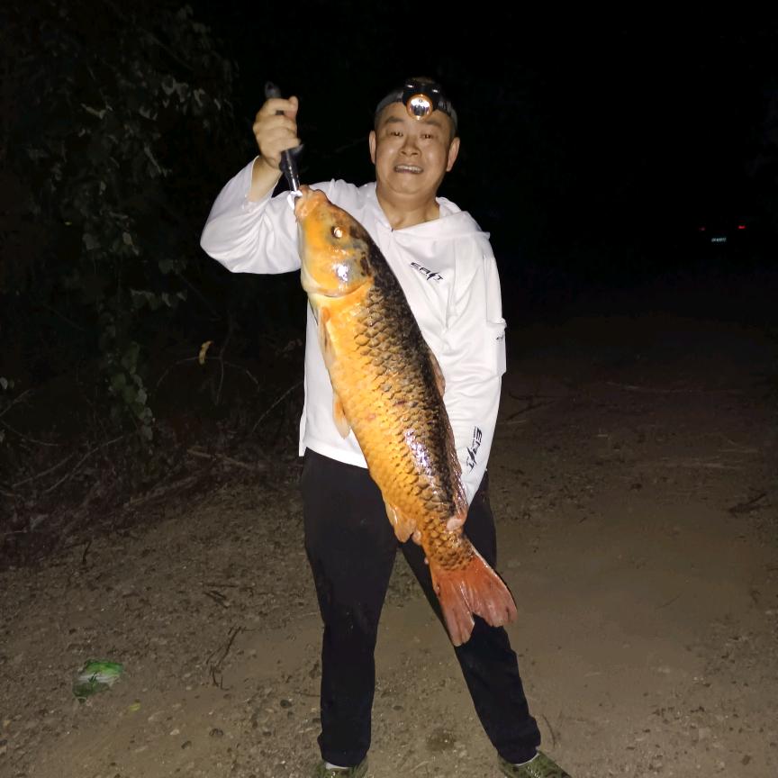 阆中古城（一条爆护）