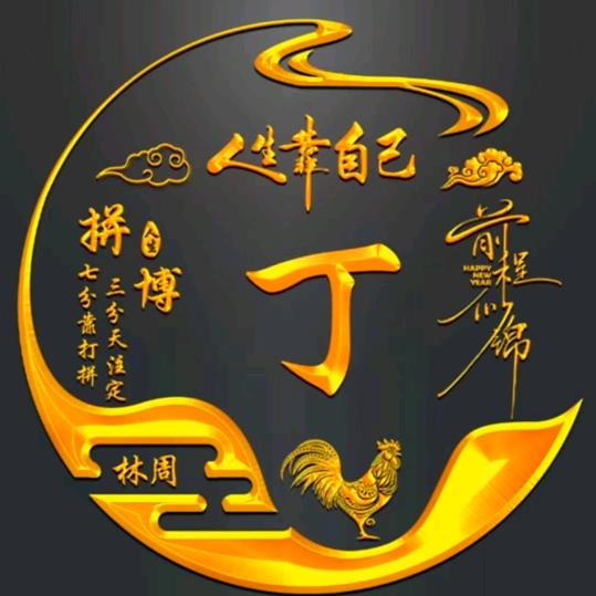 @卡车人丁哥豫RF3587