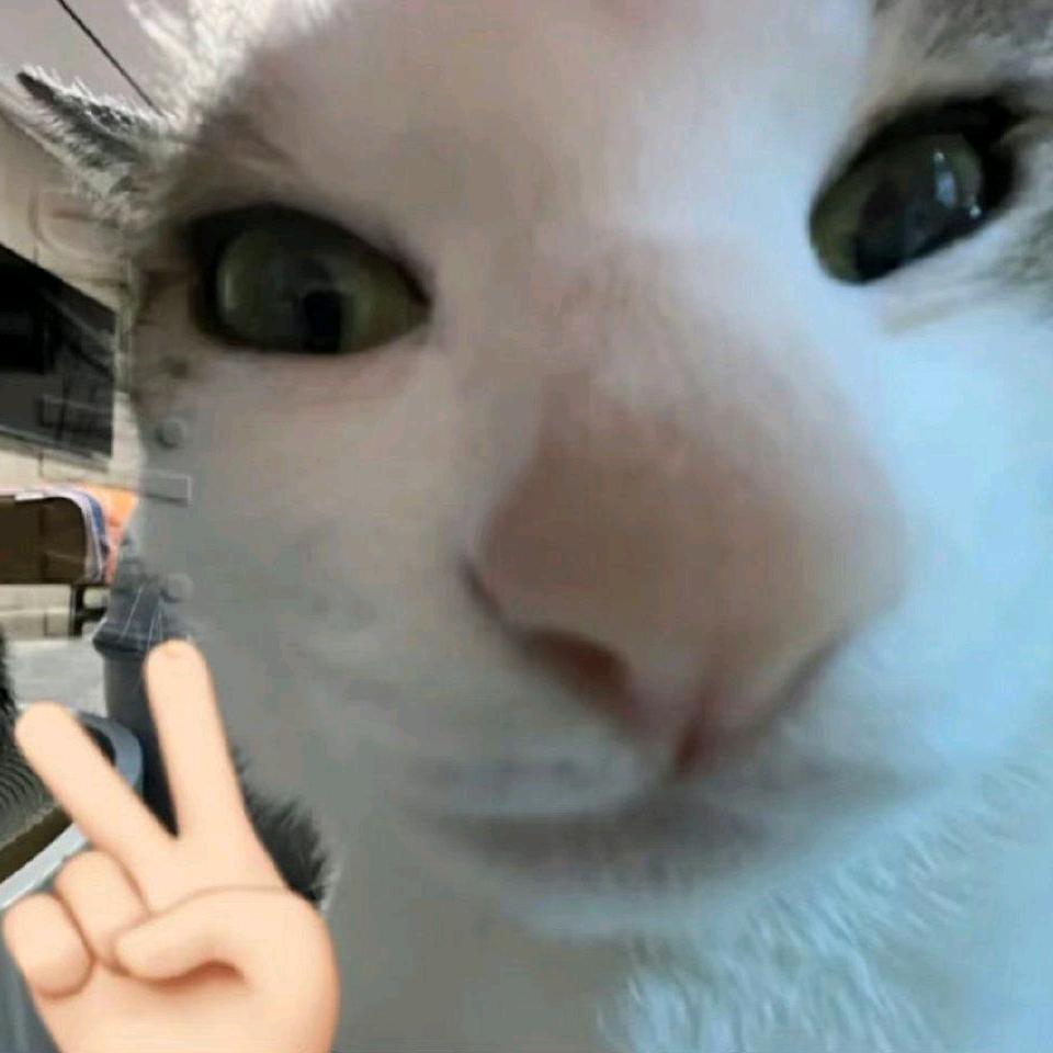 百香果sama