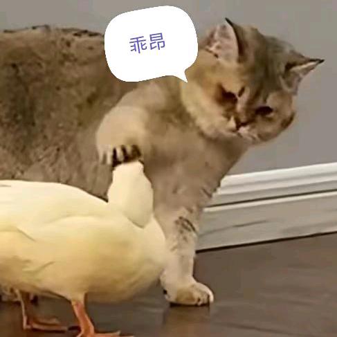 半生阿战